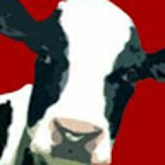 Beef Go Moo
