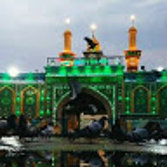 أجنحة