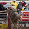 lonestar52 galloway