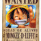 Monkey Luffy