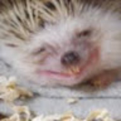 kqskttwi