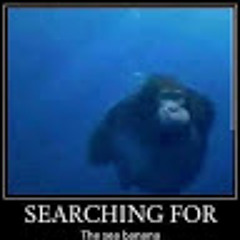 angus!!!!???