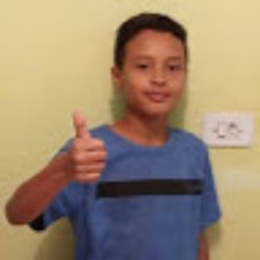 LUIZ FELIPE RIBEIRO SILVA