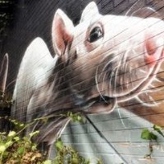 petjart