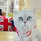 by lily on