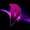 DragoneX