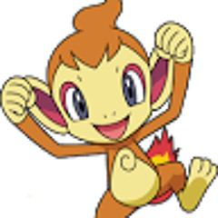 VDPN.Chimchar0416