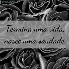 Gustavo Silva