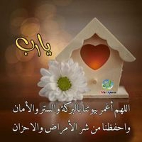 Ahlam Fekry’s avatar