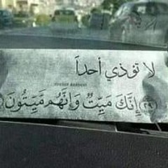 Mahmoud Kholy