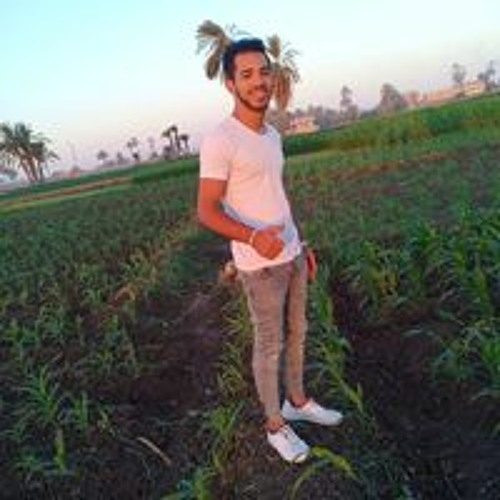Mohammed Radwan’s avatar