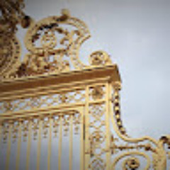 Bryony Rose de Vries