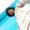 Rahul