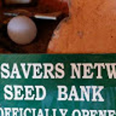 seed network