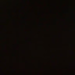 User 261338161