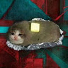 HASE P