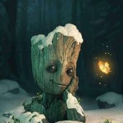 Mohamed Ayman Elghanam