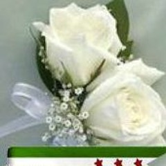 شامخة بنقاء