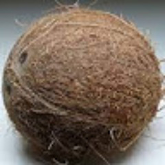 occoc olleb