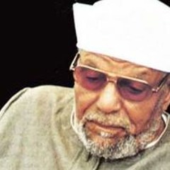 Ahmed Suez
