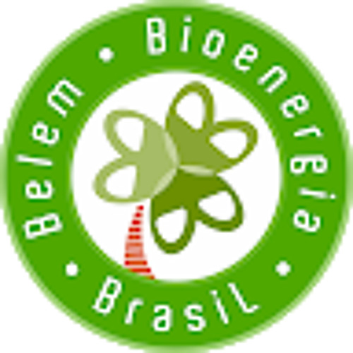 Belem Bioenergia Brasil’s avatar
