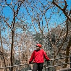 Lâm Thế Sơn