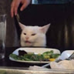 Cat Cat
