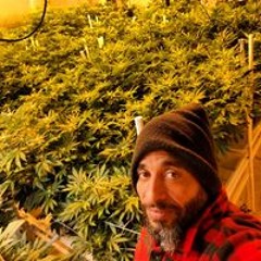 Dave Vizcarrondo