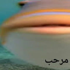 военкомат Редькина