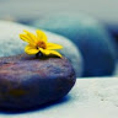 Sevil Sevinc & Nurlan Təhməzli - Baş bəlası[TorkMusic.ir].mp3