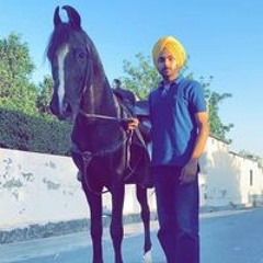 Fateh brar