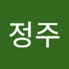 김정주