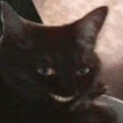 narkolepsziasnekrofil