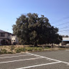 田園