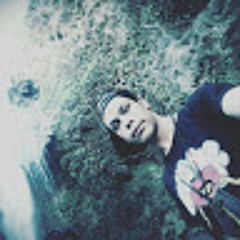 amirho3ein
