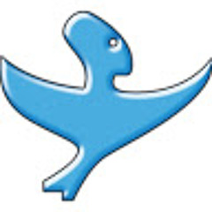 Srdjan Trbic