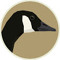 Goose_