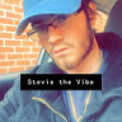 stevie the vibe
