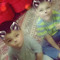 User 945231286