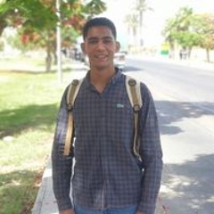 Alaa Behiry