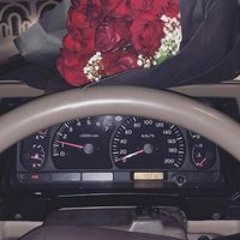 سالم بوشنكي