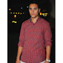 hossam hosny