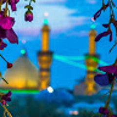 ShiatAli 313 Fatemiye