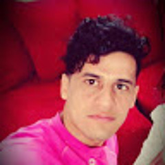 SeyedHassan Hosseini