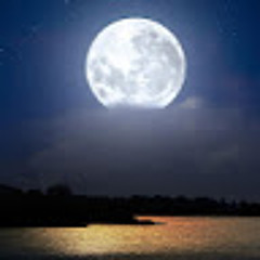 Paul La Bouchardiere