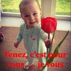 Perle Perle Perle