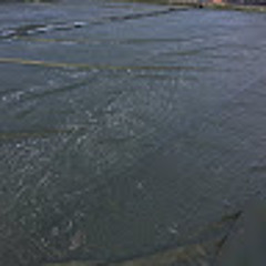 duy ty' ty' dau chay'