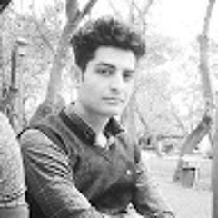 hamed bahadori