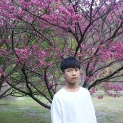 簡愷毅