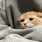 Phnhun
